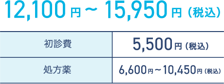 12,100円〜15,950円（税込）