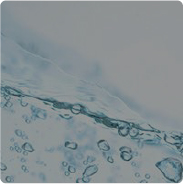 ビタミンミネラル