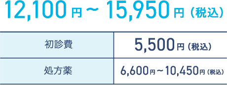 12,100円〜15,950円（税込）