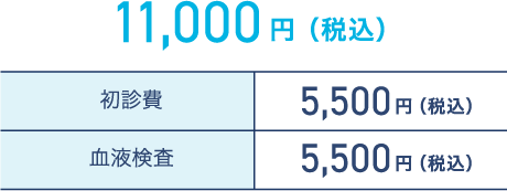 11,000円（税込）