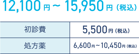 12,100円〜15,950円（税込）