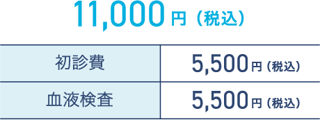 11,000円（税込）