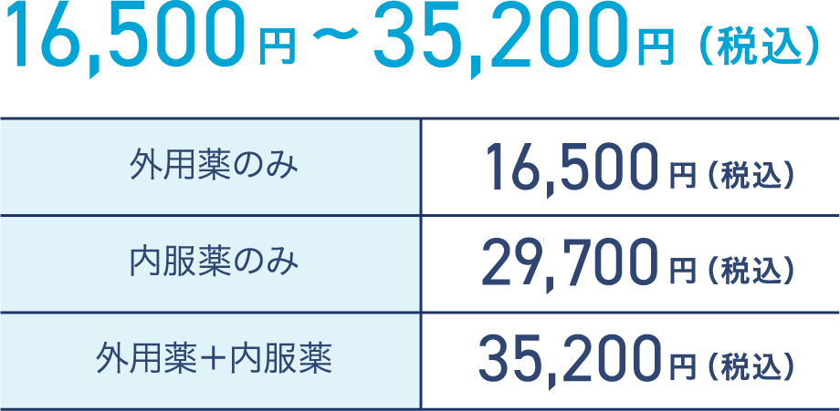 16,500円〜35,200円（税込）