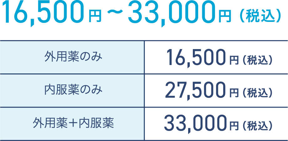 16,500円〜33,000円（税込）