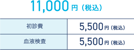 11,000円（税込）