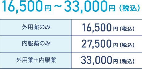 16,500円〜33,000円（税込）