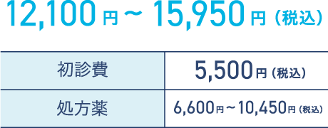 12,100円〜15,950円（税込）