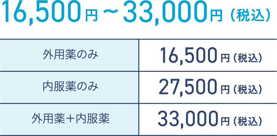 16,500円〜33,000円（税込）