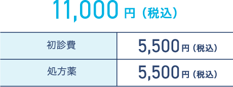 11,000円（税込）