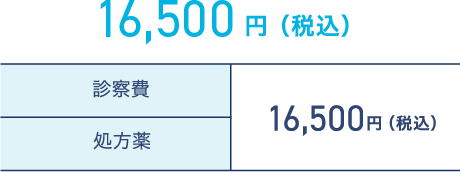 16,500円（税込）