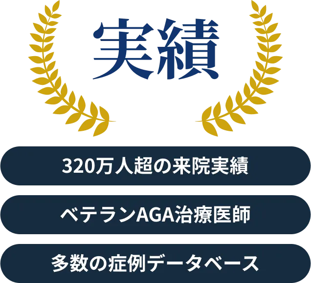 実績