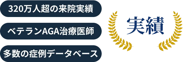 実績