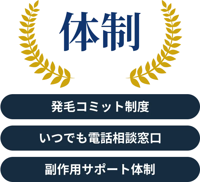 体制