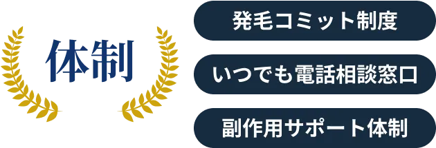 体制