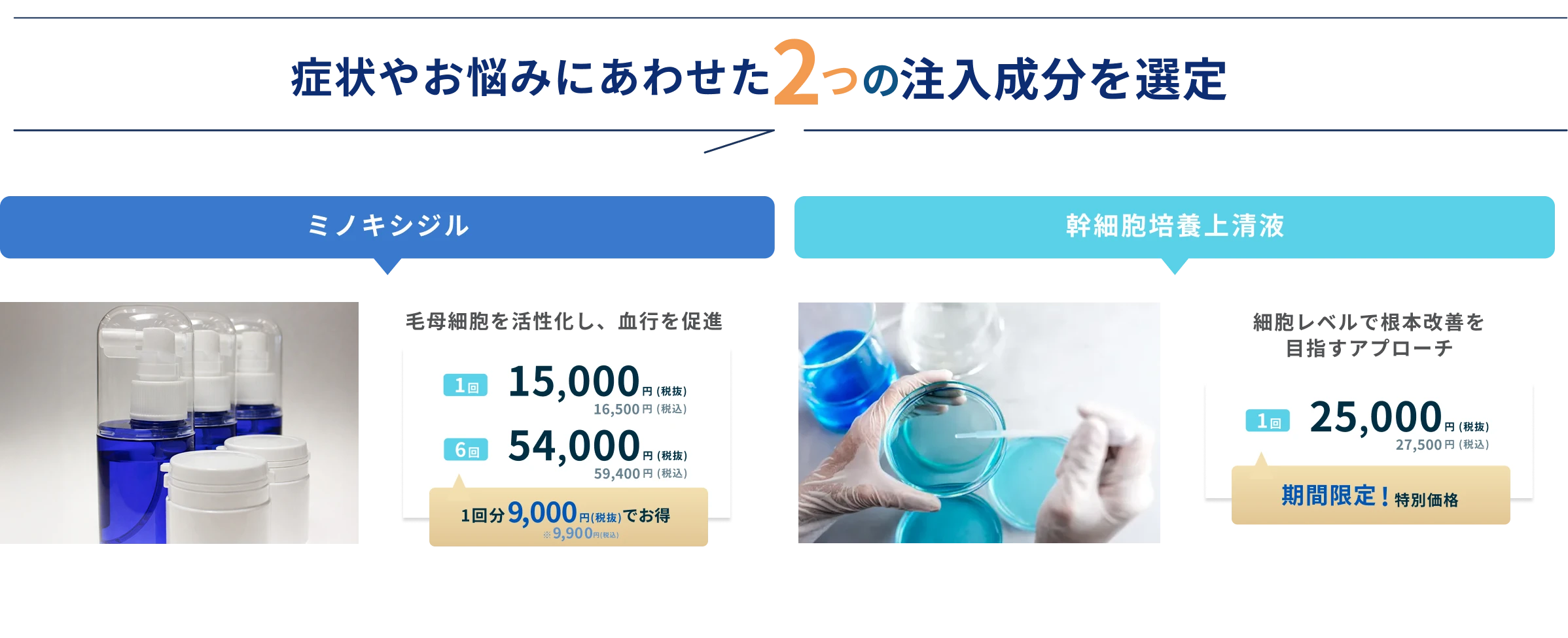 注入型治療