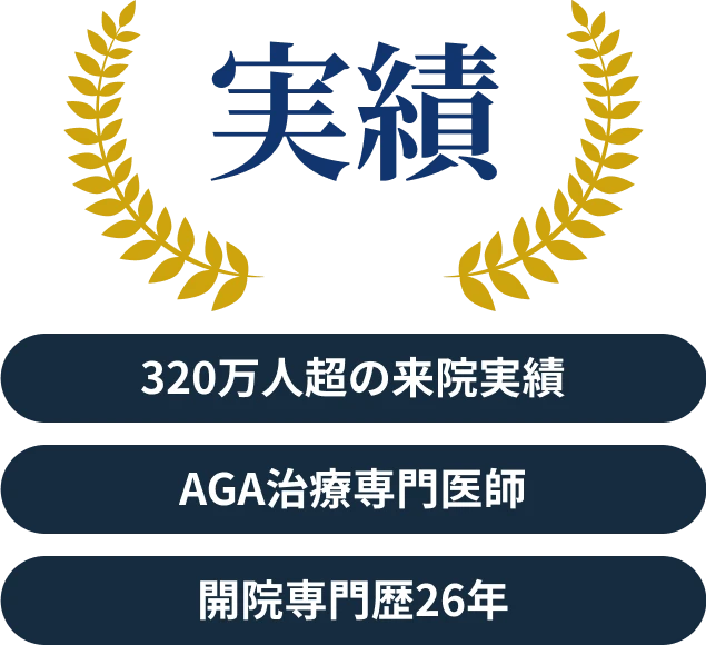 実績