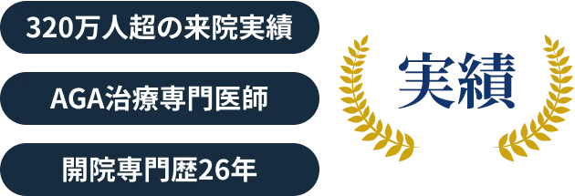 実績