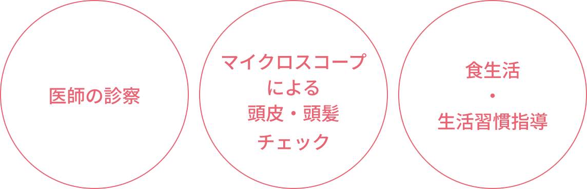 医師の診察。マイクロスコープによる頭皮・頭髪チェック。食生活・生活習慣指導