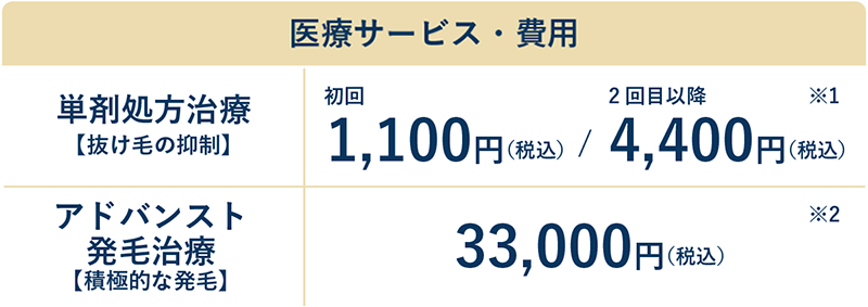 単剤処方治療【抜け毛の抑制+積極的な発毛】：初回 1,100円 / 2回目以降 4,400円　アドバンスト発毛治療【積極的な発毛】：33,000円